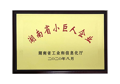 湖南省小巨人企業