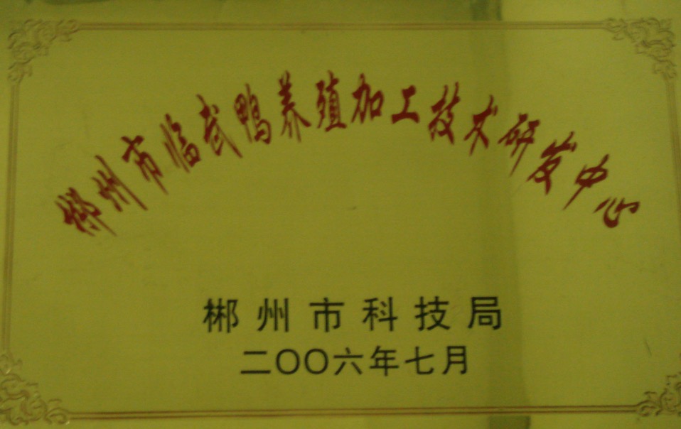 2006年