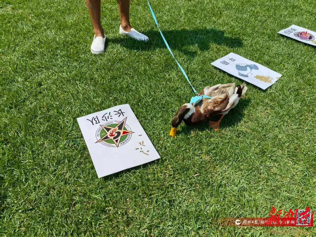 “吃貨邏輯”!來自臨武鴨的“劇透”,“湘超”揭幕戰結果原來……